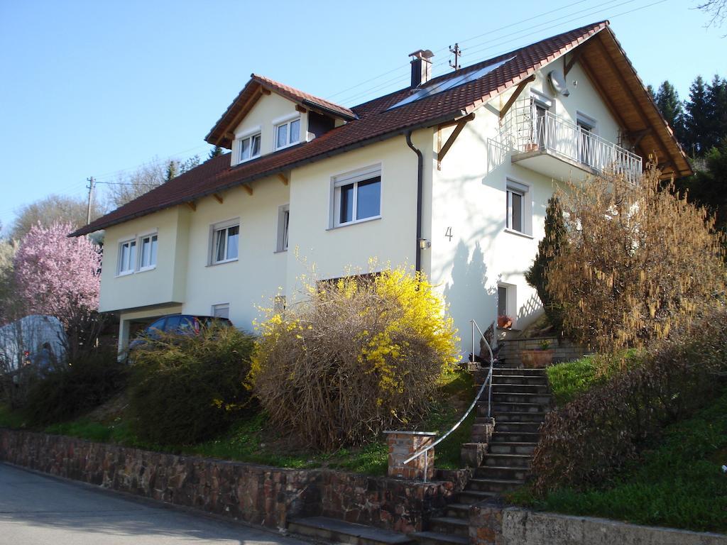 Apartment Dieterle Wutoschingen